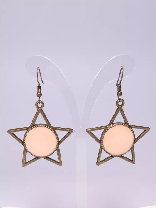 Σκουλαρίκια αστέρια σομόν