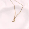 NECKLACE-0047 Αλυσίδα ατσάλινη χρυσή με ημισέληνο