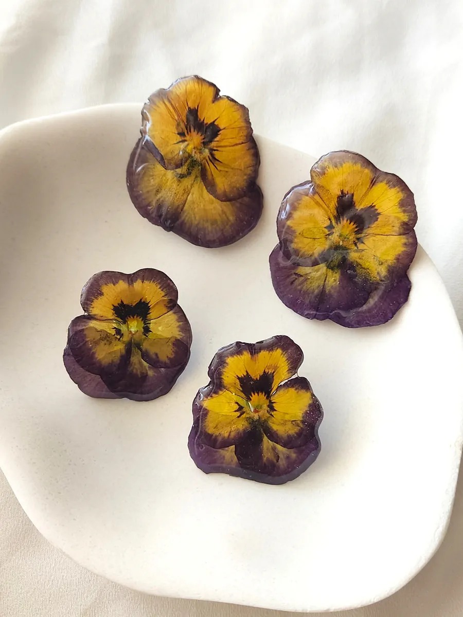 Σκουλαρίκια ατσάλινα καρφάκια με αληθινά μοβ-κίτρινα άνθη πανσέ - 2 μεγέθη | Blossom Jewelry Collection