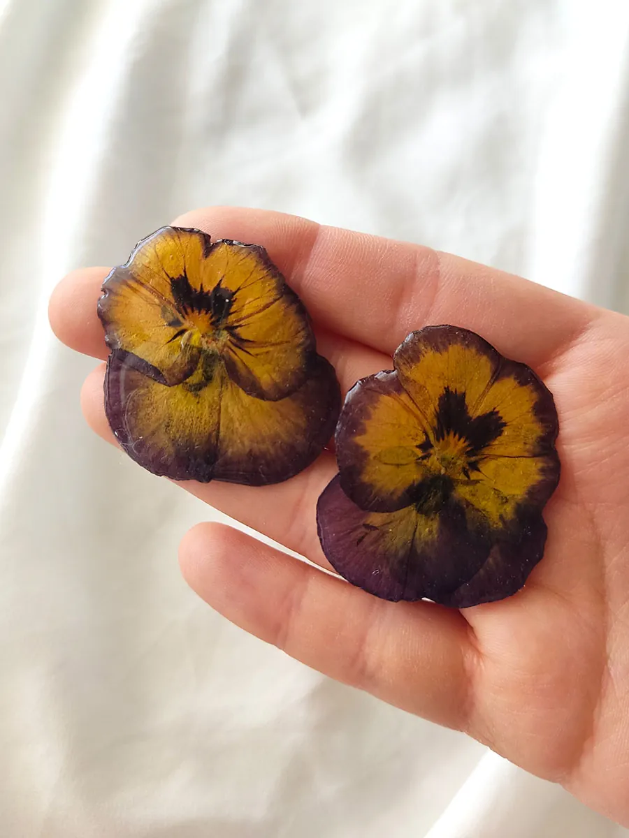 BL_EARRINGS-0003L Σκουλαρίκια Ατσάλινα Καρφάκια με Αληθινά Μοβ-Κίτρινα Άνθη Πανσέ - 2 Μεγέθη | Blossom Jewelry Collection