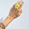 Ring Marigold – Yellow Pansy