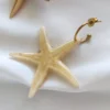Drop Earrings Starfish – Sea Whisper
