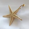 Drop Earrings Starfish – Sea Whisper
